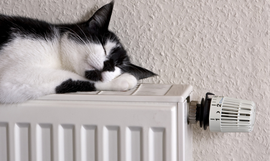 Ihre Ansprechpartner vor Ort