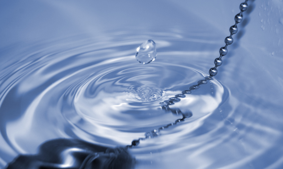 Ihre Ansprechpartner vor Ort